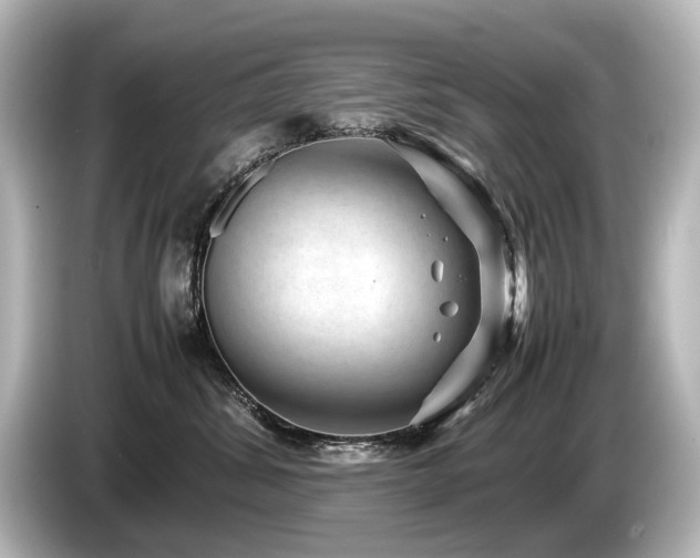 X0000085730428200703161010