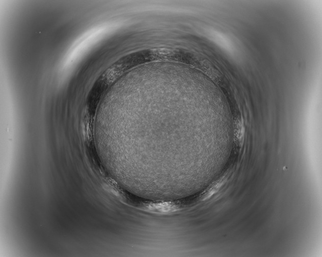 X0000085730431200703161010