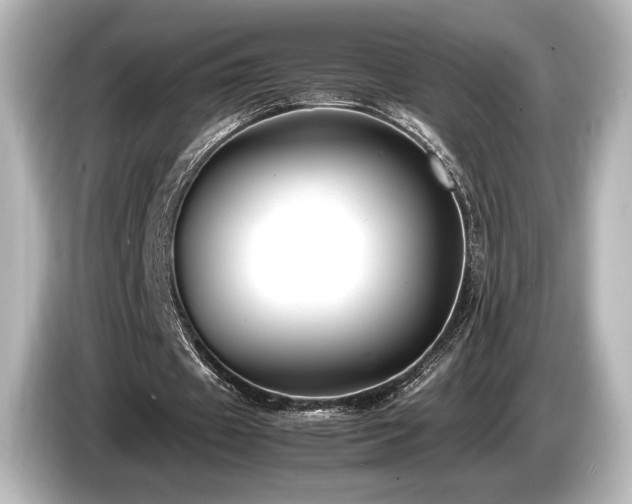 X0000085730433200703161009