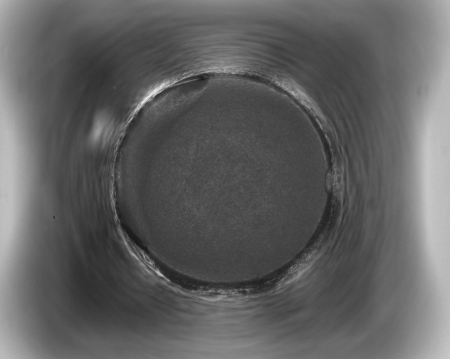 X0000085730434200703161009