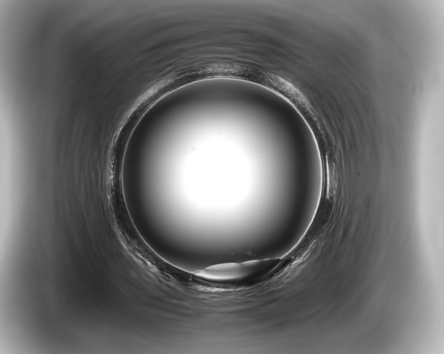 X0000085730435200703161009