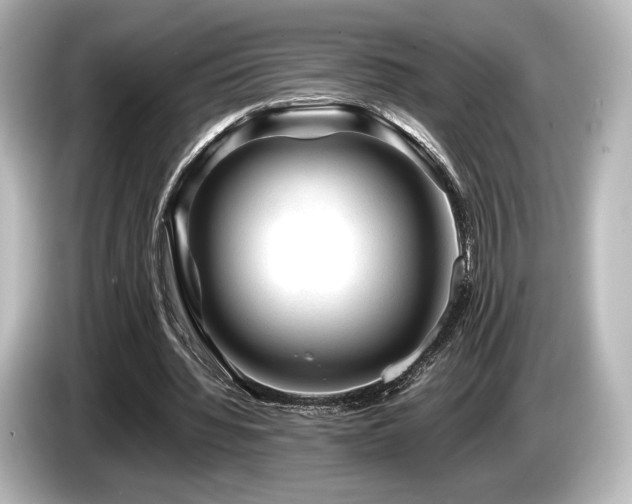 X0000085730436200703161009