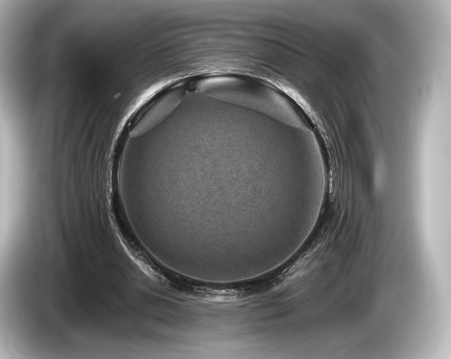 X0000085730438200703161009