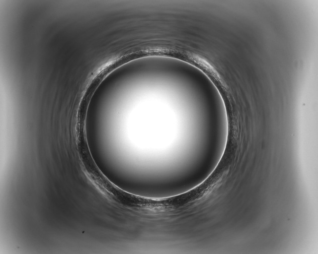 X0000085730439200703161009