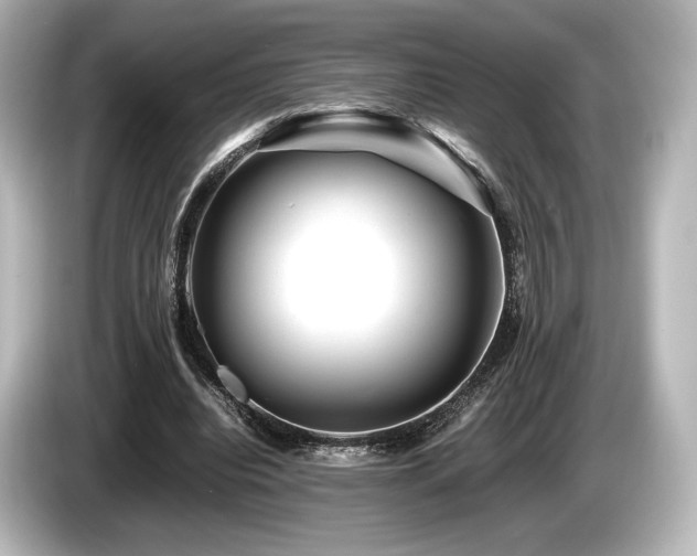 X0000085730440200703161009