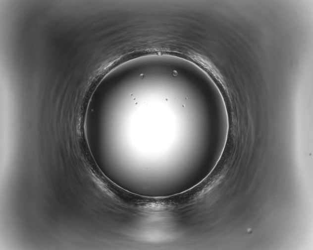 X0000085730441200703161009