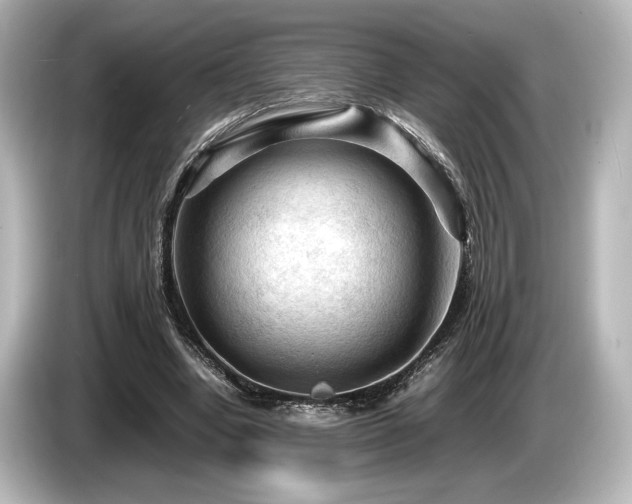 X0000085730442200703161009