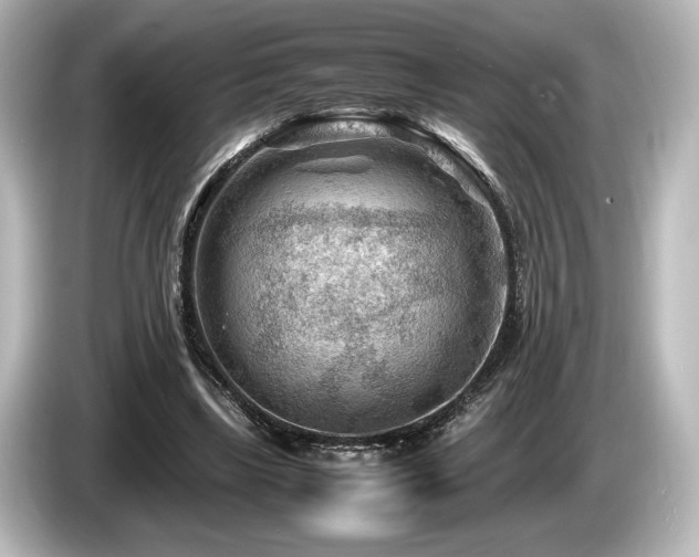 X0000085730443200703161009