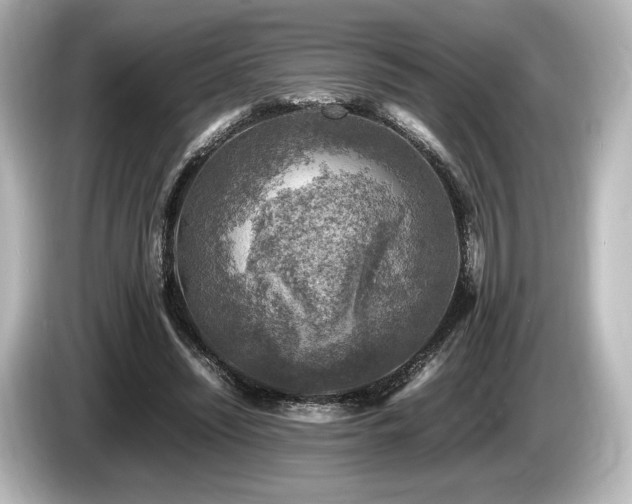 X0000085730444200703161009