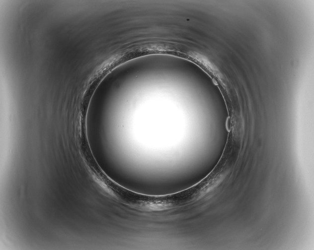 X0000085730445200703161009