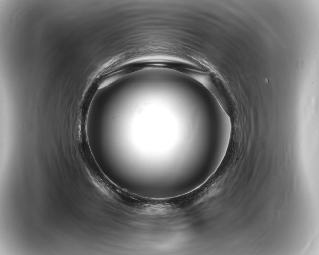 X0000085730446200703161009