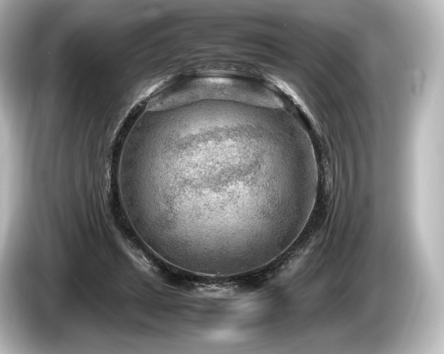 X0000085730447200703161009