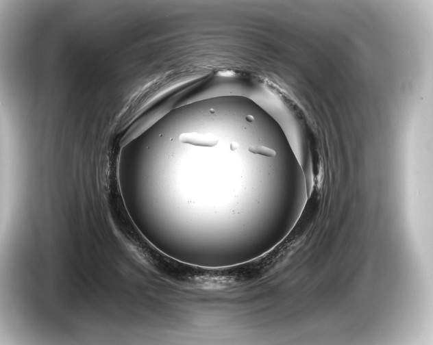 X0000085730448200703161009