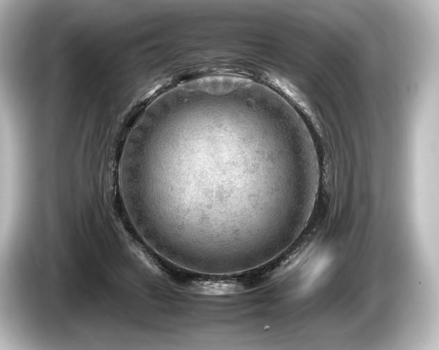 X0000085730449200703161009