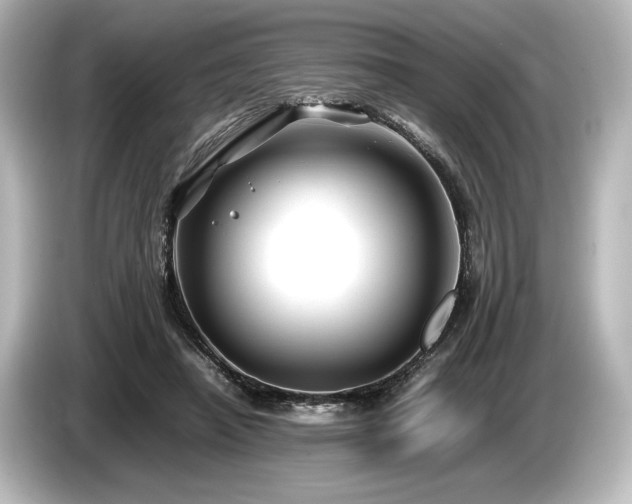 X0000085730450200703161009