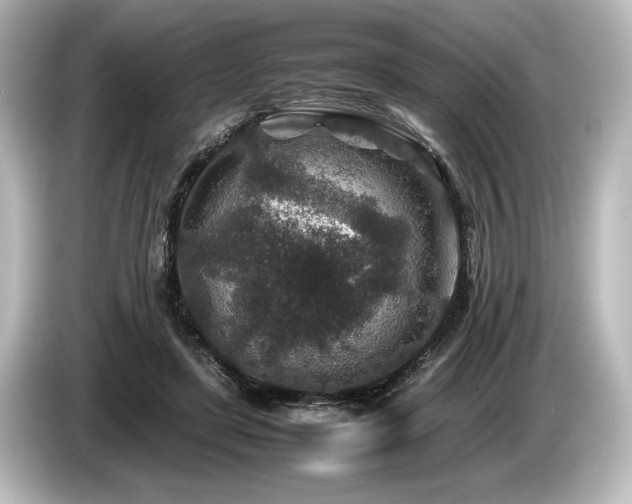 X0000085730451200703161009