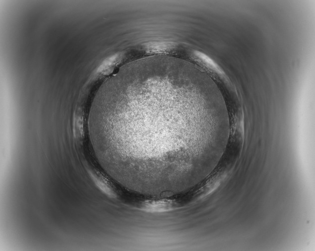 X0000085730452200703161009