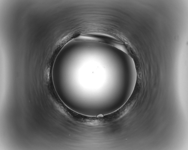 X0000085730454200703161009