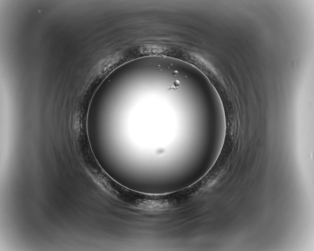 X0000085730455200703161009