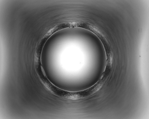 X0000085730456200703161009