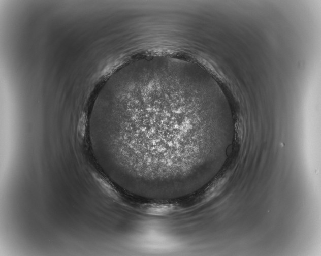 X0000085730458200703161009