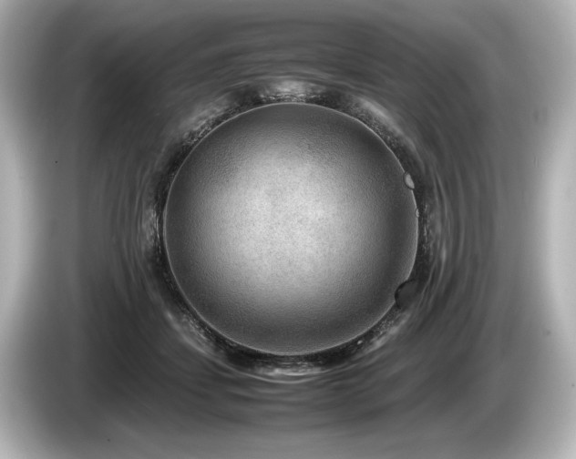 X0000085730459200703161009