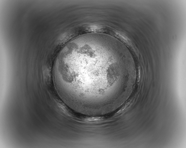 X0000085730461200703161009