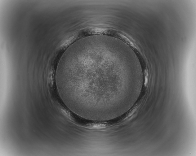 X0000085730462200703161009