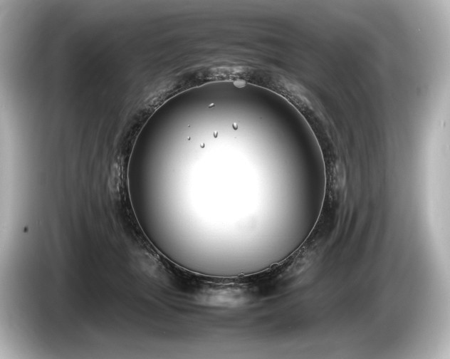 X0000085730463200703161009