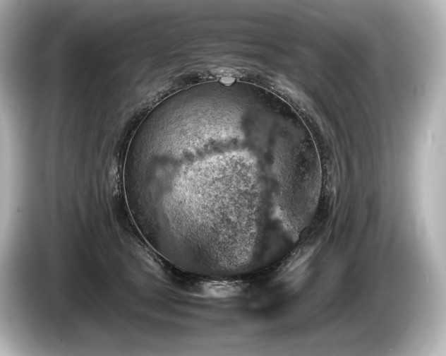 X0000085730465200703161009