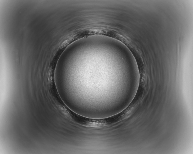 X0000085730466200703161009