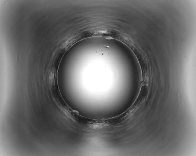 X0000085730468200703161009