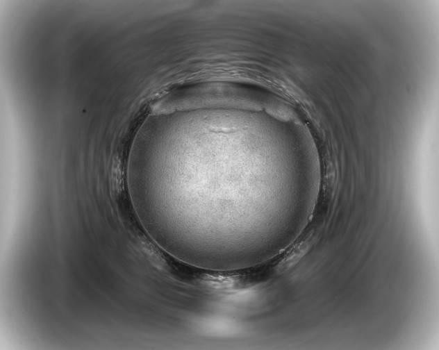 X0000085730469200703161009