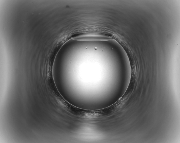 X0000085730470200703161009