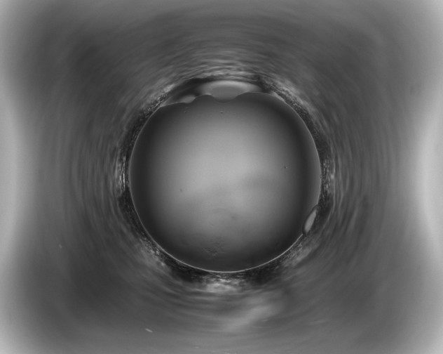 X0000085730471200703161009