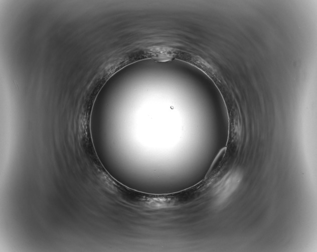 X0000085730473200703161009