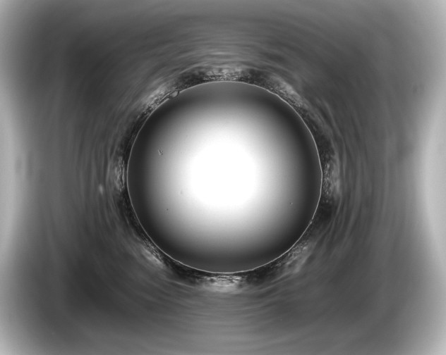 X0000085730474200703161010