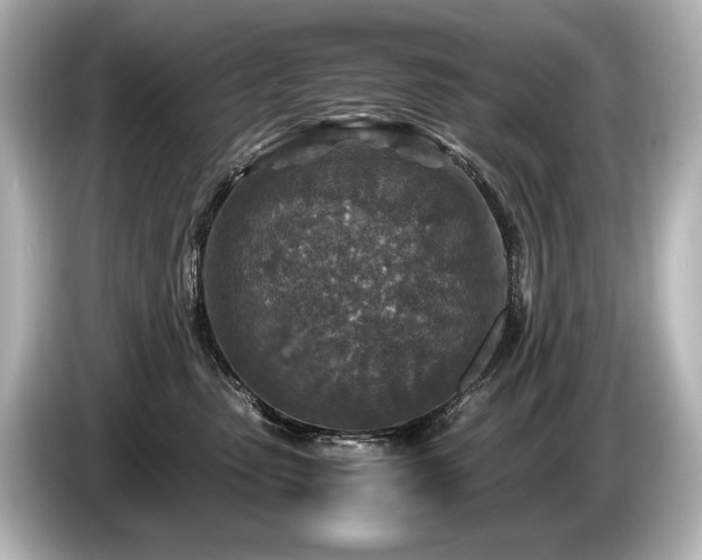 X0000085730475200703161010