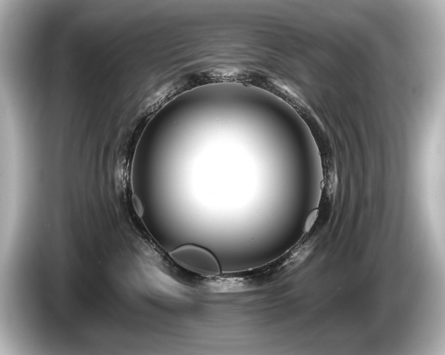 X0000085730476200703161010