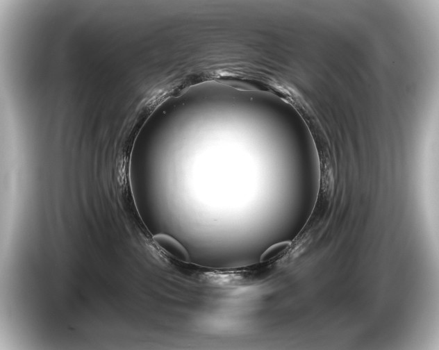 X0000085730477200703161010