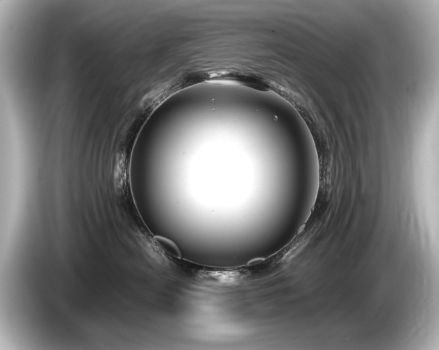 X0000085730478200703161010