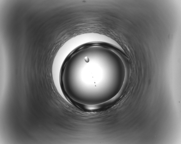 X0000085730480200703161010