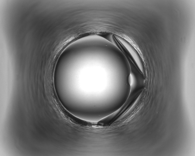 X0000085730481200703161009