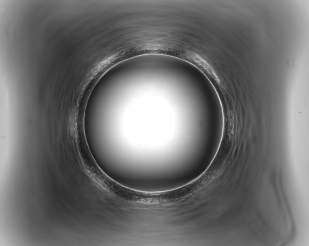 X0000085730482200703161009