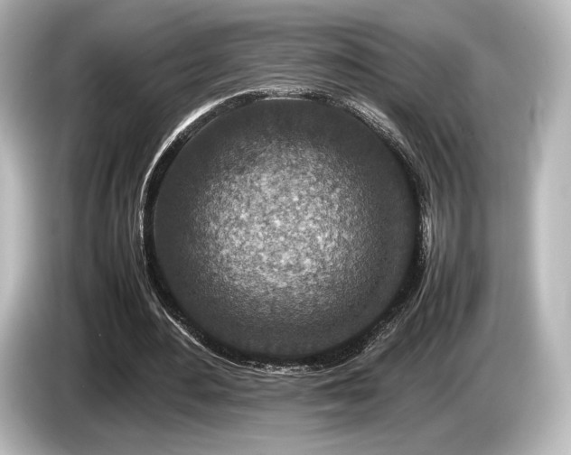 X0000085730484200703161009