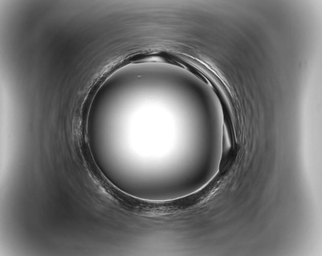 X0000085730485200703161009