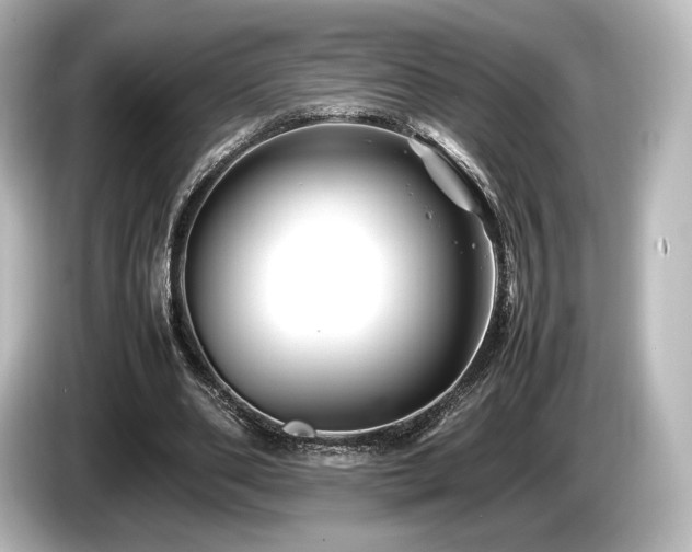 X0000085730486200703161009