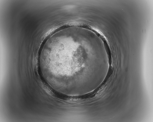 X0000085730487200703161009