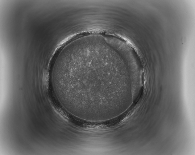 X0000085730488200703161009