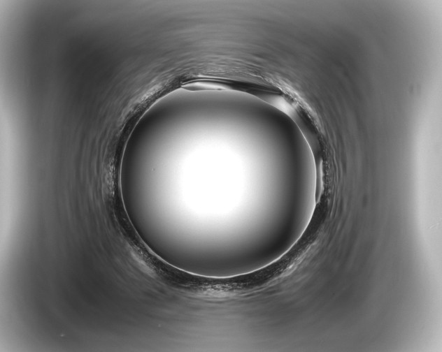 X0000085730489200703161009